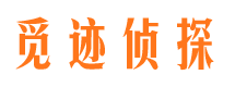 江川市场调查